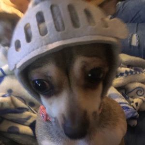 Meet your Posher, Cheyney